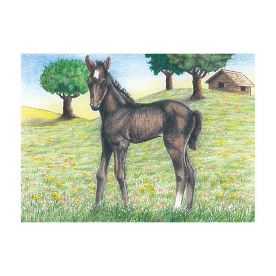 Puzzle cubice cu oiță
