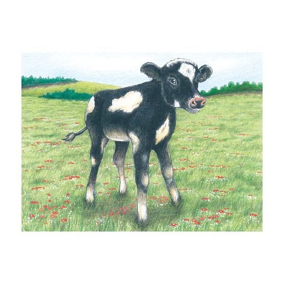 Puzzle cubice cu oiță