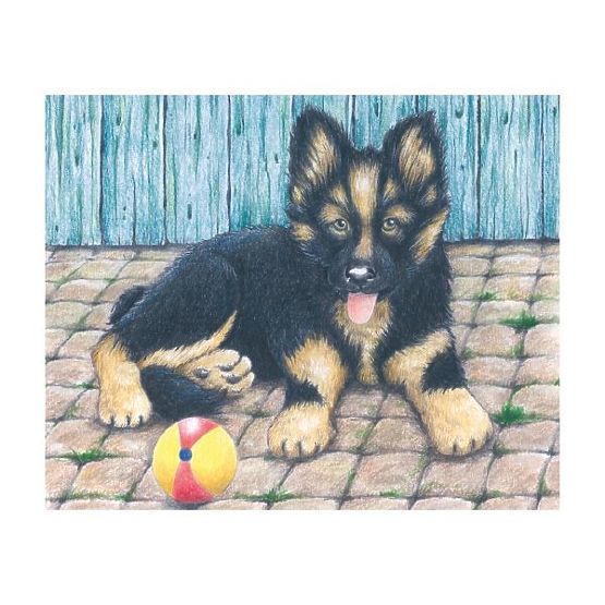 Puzzle cubice cu oiță