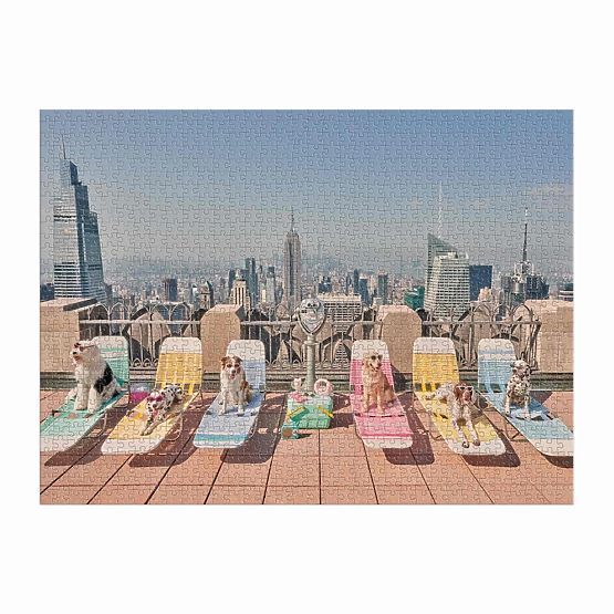 Puzzle Galison Câini în New York Gray Malin 1000 piese