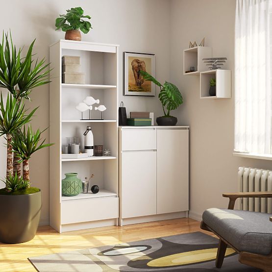 RAFT R60 1SZ 4P CLP PK ALB