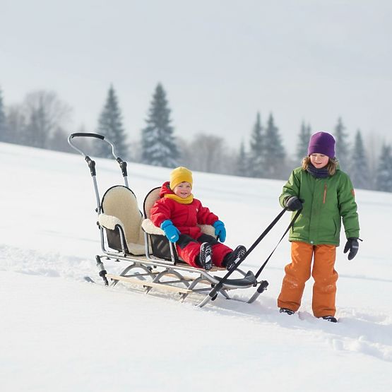 Sanie pentru gemeni Duo Sport - culoare scaun negru
