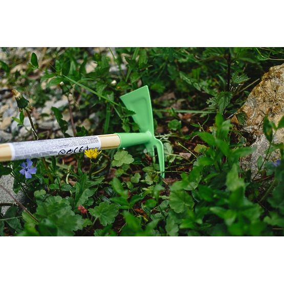 Sapa pentru copii - colorata