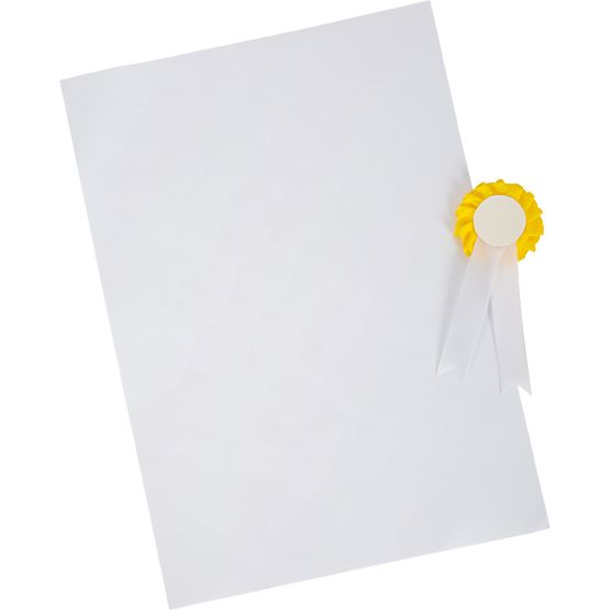 small foot Set de îngrijire a calului cu geantă