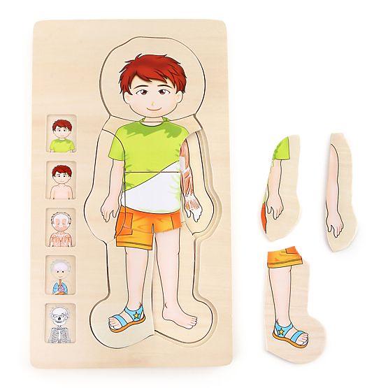 Jucării din lemn pentru picioare mici Puzzle Anatomie Tim