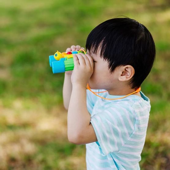 Binoclu albastru-verde - fluture