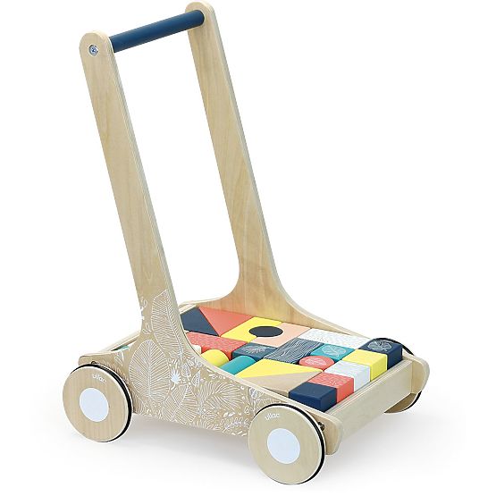 Vilac Cărucior din lemn cu cuburi colorate Canopée