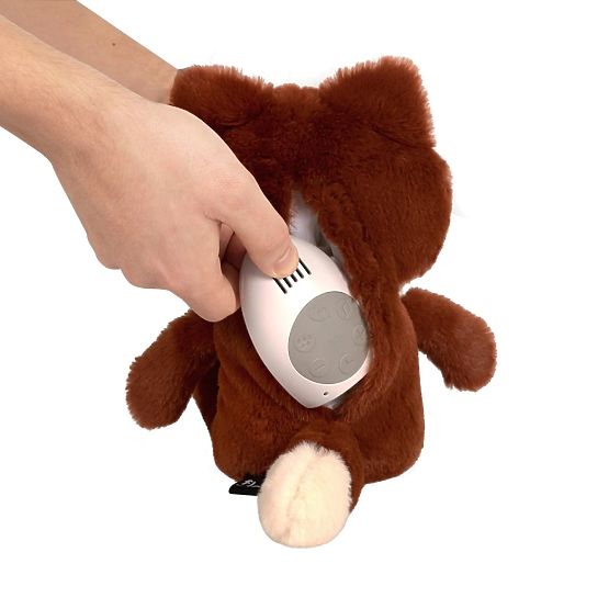 Vulpe portocalie cu bătăile inimii FLOW