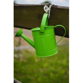 Udă verde