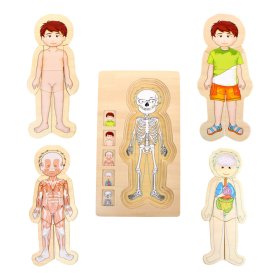 Small Foot Wooden Toys Puzzle Anatomie Tim, Small foot by Legler