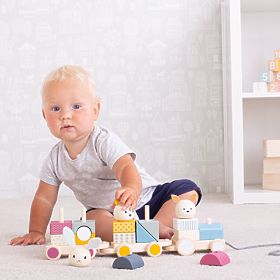 Bigjigs Baby Trenuleț de lemn cu animale, Bigjigs Toys