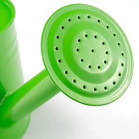 Bigjigs Toys Garden ceainic verde