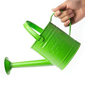 Bigjigs Toys Garden ceainic verde