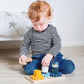 Bigjigs Toys Placă Motorică Arctic