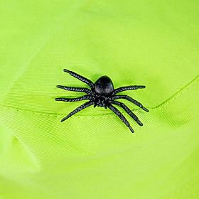 Kit de jucării Bigjigs pentru prinderea insectelor