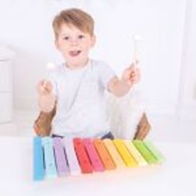 Bigjigs Toys Xilofon din lemn