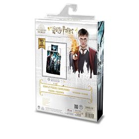 Lenjerie de pat copii 140x200 cm + 70x90 Harry Potter