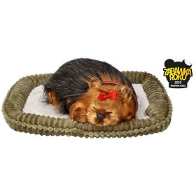 Perfect Petzzz Cățeluș Sforăitor York