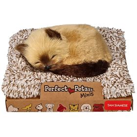 Perfect Petzzz Pisoi Siamez Mic