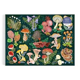 Puzzle Galison Lumea ciupercilor 1000 de piese