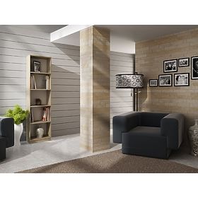 Raft Onyx R40 SONOMA