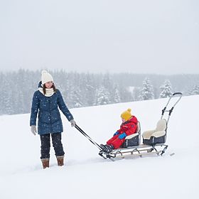 Sanie pentru gemeni Duo Sport - diferite culori pentru scaune
