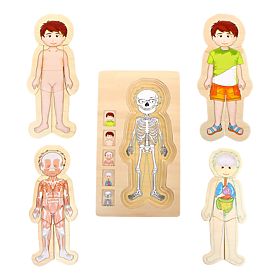 Jucării din lemn pentru picioare mici Puzzle Anatomie Tim